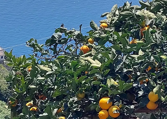 Casa Orizzonte * Amalfi