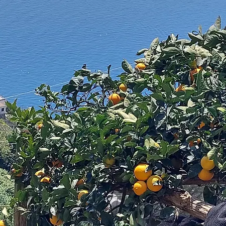 Casa Orizzonte * Amalfi